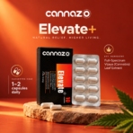 Elevate PLUS+ 100mg RSO extract Pain Capsules – CBD + THC for Chronic Pain & Inflammation Relief - Image 2