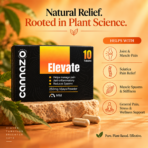 Elevate 500mg Pain Tablets – Natural Support for Mild to Moderate Pain, Joint Pain & Inflammation - Image 4