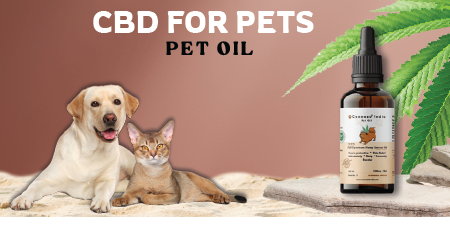Cbd Oil for Pet