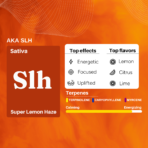 Uplift Plus: Strong Full-Spectrum Extract for Chronic Pain, De-Addiction and Insomnia - Image 6
