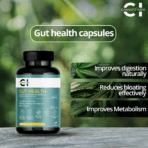 Blood Sugar / Cholesterol / Gut And Weight Management (Fit Control Kit ) - Image 4