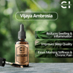 Arthritis (Pain Away Relief Kit) - Image 3