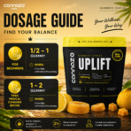 Uplift Gummies -CBD DOMINANT |  500mg Citrus/Sour Lemon Vatis | 200mg Active Cannabinoids | Strong Support for Focus, Relaxation & Better Mood - Image 3
