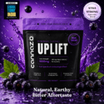 Uplift Gummies - 500mg (400mg Active Extract) Blackcurrant Vatis | Advanced Support for Chronic Pain & Comfort